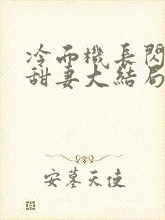 冷面机长闪婚小甜妻大结局