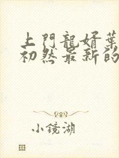 上门龙婿叶辰萧初然最新的