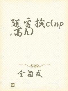随处挨c(np,高h)