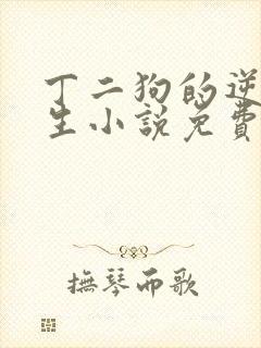 丁二狗的逆袭人生小说免费阅读