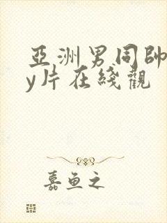 亚洲男同帅gay片在线观