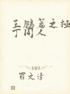 王鹏篇之极品家丁同人