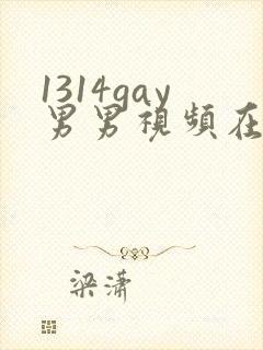 1314gay男男视频在线观看
