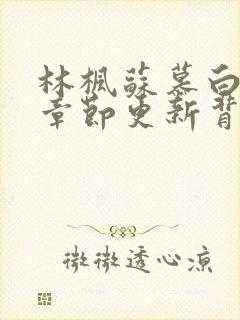 林枫苏慕白最新章节更新背后的故事