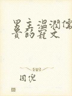 男主温润儒雅矜贵的宠文