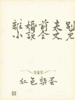 离婚前夫别见了小说全文免费阅读全文