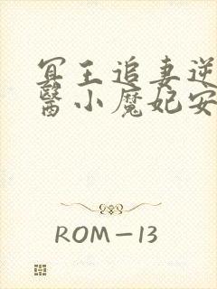 冥王追妻逆天鬼医小魔妃安小七