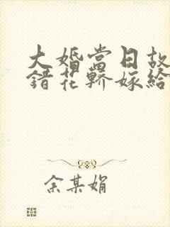 大婚当日故意上错花轿嫁给摄政王什么小说