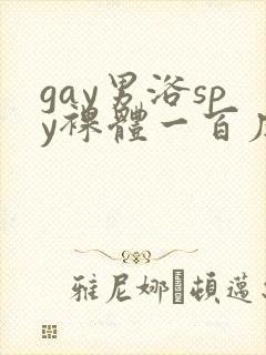 gay男浴spy裸体一百度封面