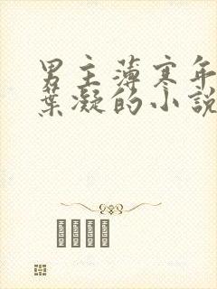 男主薄寒年女主叶凝的小说免费阅读封面