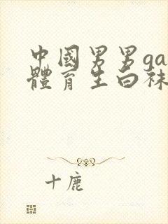 中国男男gay体育生白袜