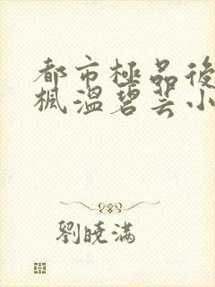 都市极品后宫唐枫温碧芸小说