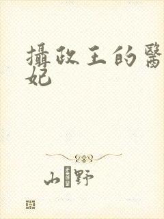 摄政王的医品药妃