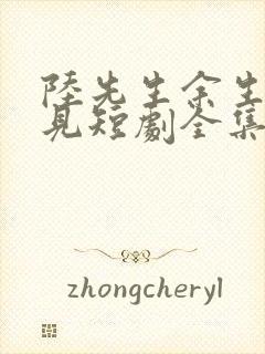 陆先生余生不再见短剧全集免费观看