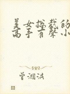 美女总裁的超级高手有声小说