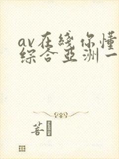 av在线你懂的综合亚洲一区