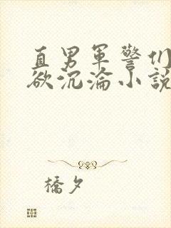 直男军警们的肉欲沉沦小说