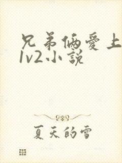 兄弟俩爱上女主1v2小说
