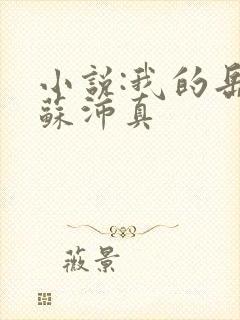 小说:我的岳母苏沛真