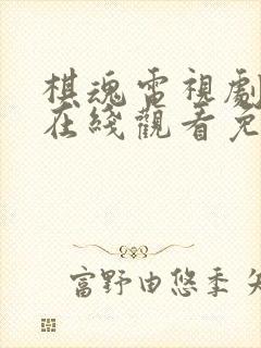 棋魂电视剧全集在线观看免费播放封面