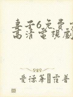 妻子6免费完整高清电视剧在线看