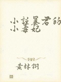 小说暴君的替嫁小毒妃