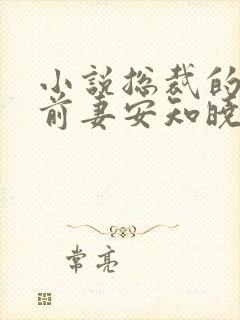 小说总裁的替身前妻安知晓