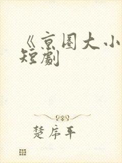 《京圈大小姐》短剧封面