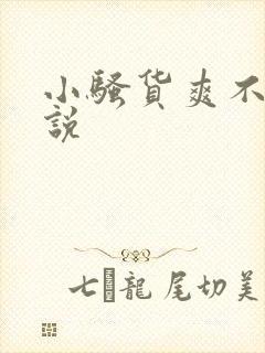 小骚货爽不爽小说封面