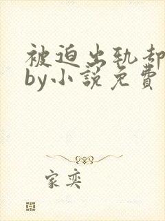 被迫出轨却上瘾by小说免费阅读