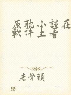 原耽小说在什么软件上看