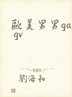 欧美男男gay gv