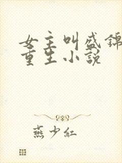 女主叫盛锦初的重生小说