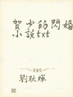 贺少的闪婚暖妻小说txt