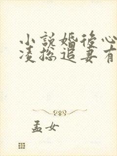 小说婚后心动:凌总追妻有点甜全集