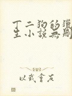 丁二狗的猎艳人生小说无删减小说
