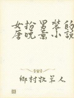 女扮男装的县令唐晚意小说封面