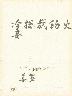 冷总裁的火爆娇妻