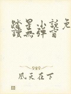 踏星小说免费阅读无弹窗封面