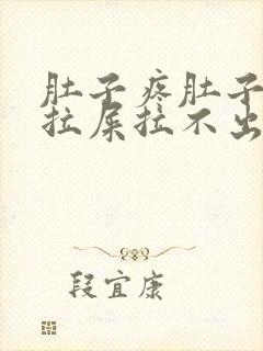 肚子疼肚子胀想拉屎拉不出来怎么回事