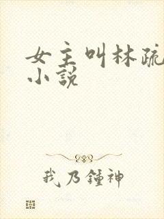 女主叫林疏月的小说