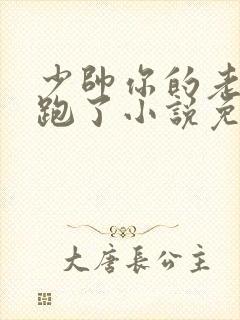 少帅你的老婆又跑了小说免费阅读