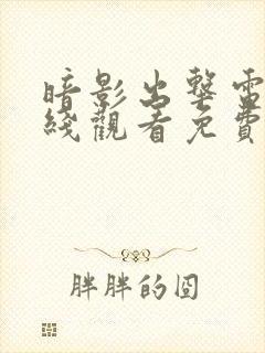 暗影出击电影在线观看免费完整版国语封面