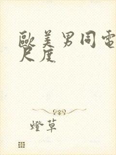 欧美男同电影大尺度