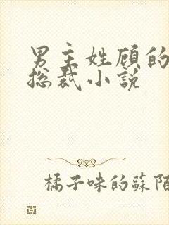 男主姓顾的现代总裁小说