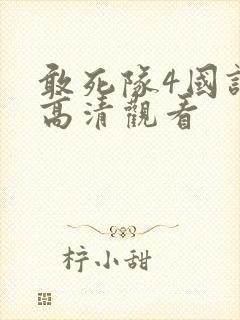 敢死队4国语版高清观看