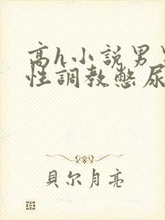 高h小说男男双性调教憋尿封面