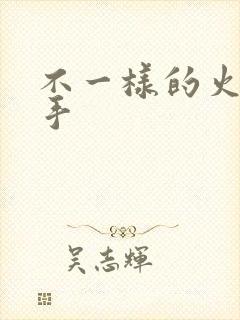 不一样的火影纲手