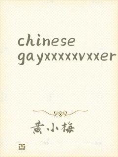 chinesegayxxxxxvxxer封面