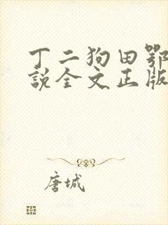 丁二狗田鄂茹小说全文正版免费阅读